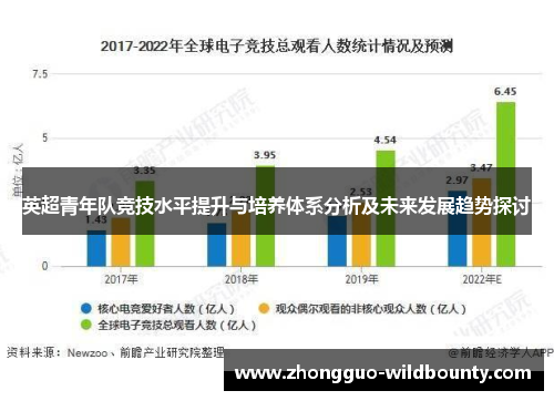 英超青年队竞技水平提升与培养体系分析及未来发展趋势探讨