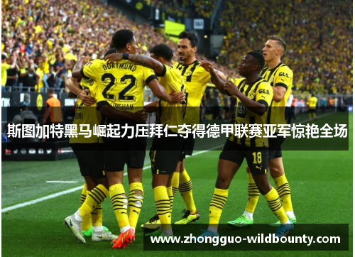 斯图加特黑马崛起力压拜仁夺得德甲联赛亚军惊艳全场 斯图加特黑马崛起力压拜仁夺得德甲联赛亚军惊艳全场