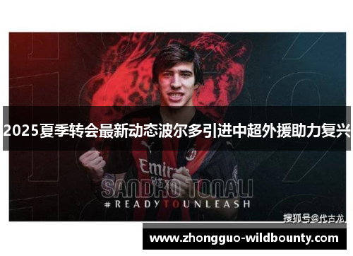 2025夏季转会最新动态波尔多引进中超外援助力复兴