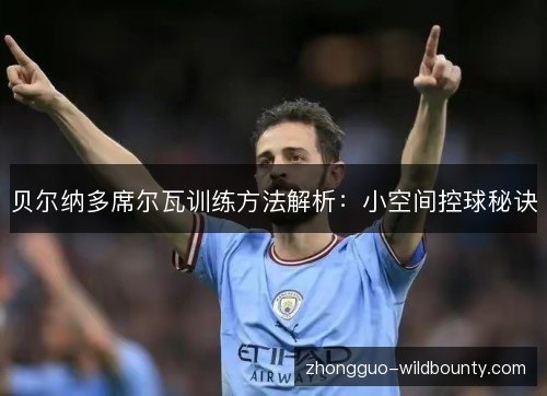 贝尔纳多席尔瓦训练方法解析：小空间控球秘诀